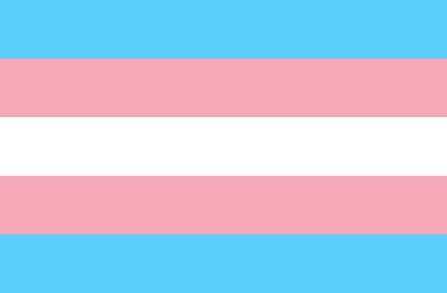 Transgender Legislation in Conservative States: Examining the surge&hellip;