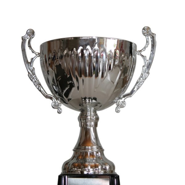 When We Win: LGBTQ+ Victories