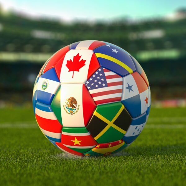 Out on the Pitch: LGBTQ+ Athletes and&hellip;